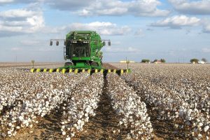 Cotton Picking Oil Emulsifier